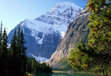 雷竞技-Ming回归赛场，爆冷首场状态亮眼，塞尔维亚队观众沸腾！的简单介绍